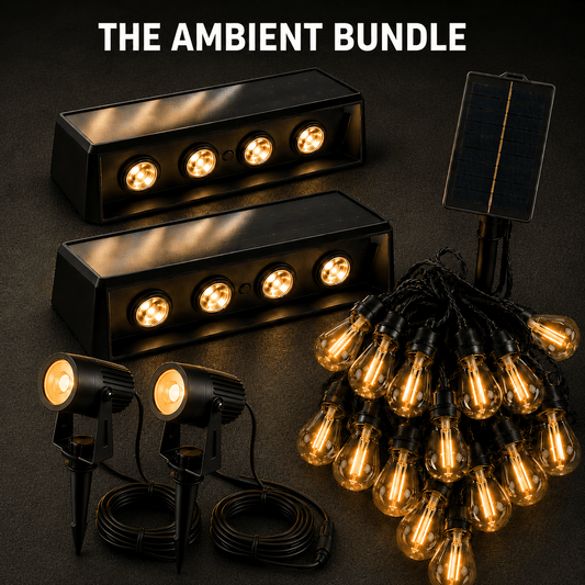 The Ambient Bundle